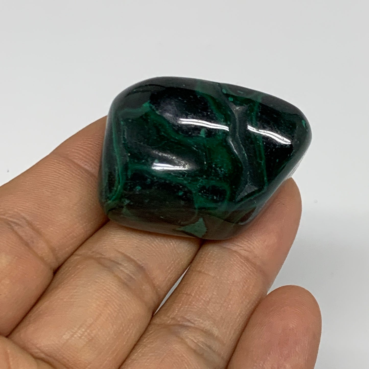 155.3g, 1.2"-1.5", 3pcs, Natural Small Malachite Tumbled Polished, B32836