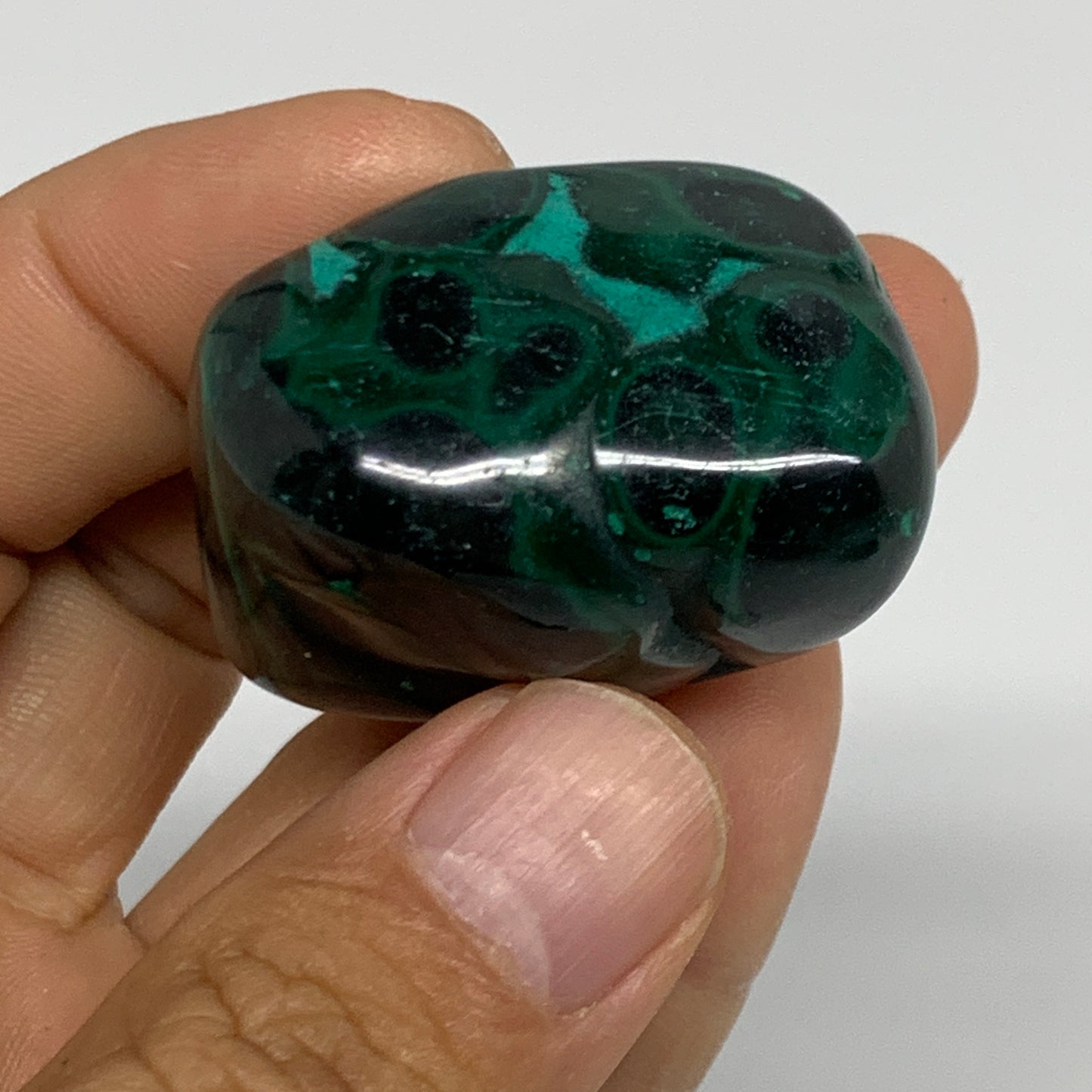 155.3g, 1.2"-1.5", 3pcs, Natural Small Malachite Tumbled Polished, B32836