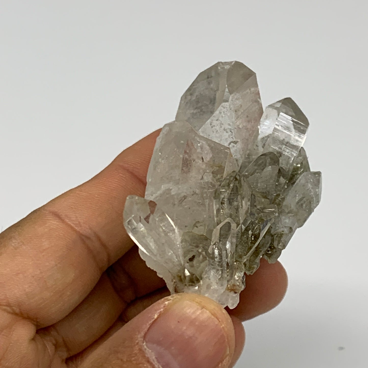 61.3g, 2.3"x1.2"x1.6", Chlorine Quartz Crystal Mineral,Specimen Terminated,B2768