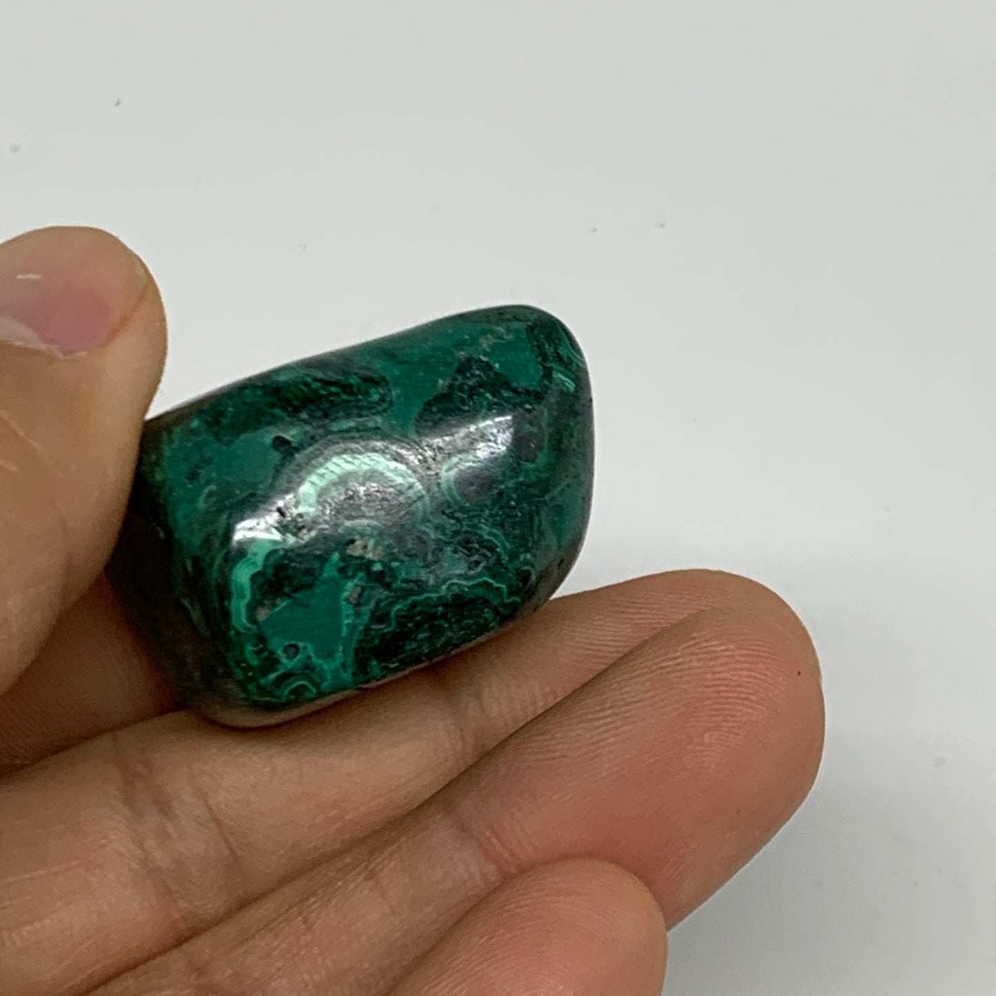 155.3g, 1.2"-1.5", 3pcs, Natural Small Malachite Tumbled Polished, B32836