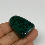 155.3g, 1.2"-1.5", 3pcs, Natural Small Malachite Tumbled Polished, B32836