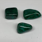 187.5g, 1.5"-2", 3pcs, Natural Small Malachite Tumbled Polished, B32841