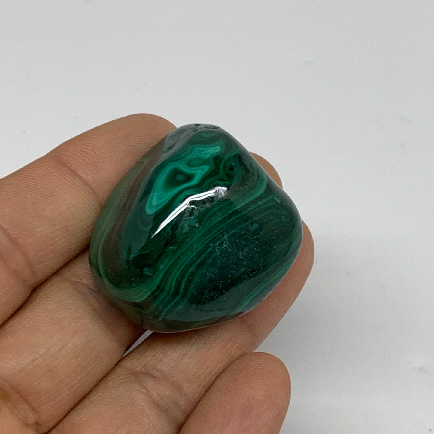 171.4g, 1.3"-1.7", 3pcs, Natural Small Malachite Tumbled Polished, B32842