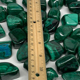 1pcs, 1.1"-1.8", 40-56g, Natural Malachite Tumbled Gemstone, B32844/45
