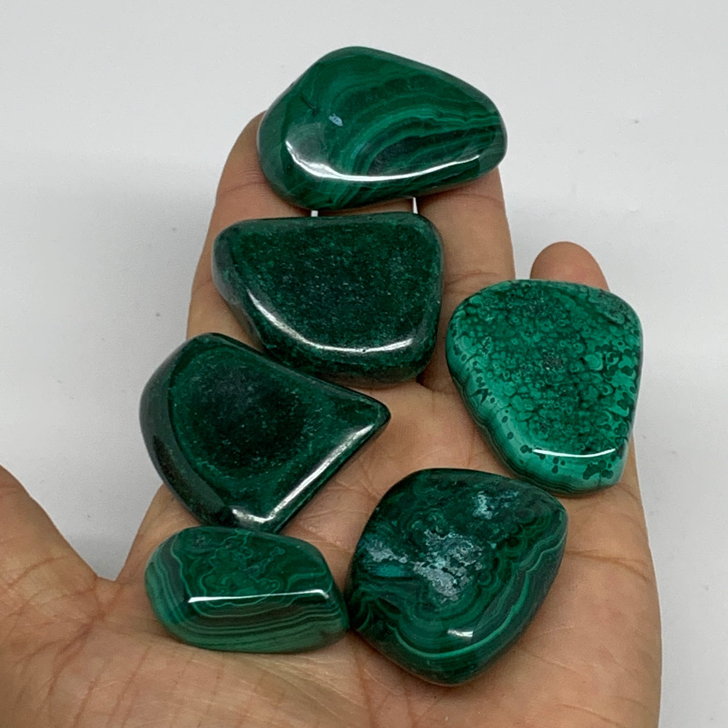 206g, 1.2"-1.7", 6pcs, Natural Malachite Tumbled Polished Gemstone, B32847