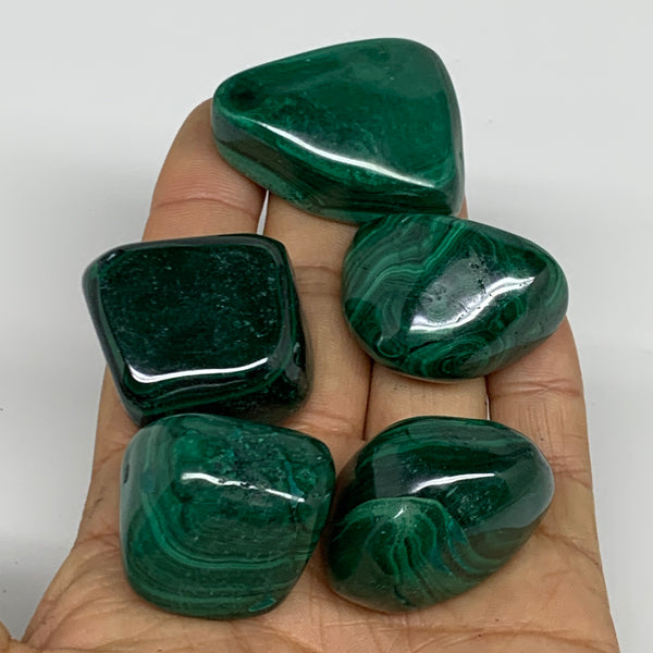 196.6g, 1.1"-1.6", 5pcs, Natural Malachite Tumbled Polished Gemstone, B32848