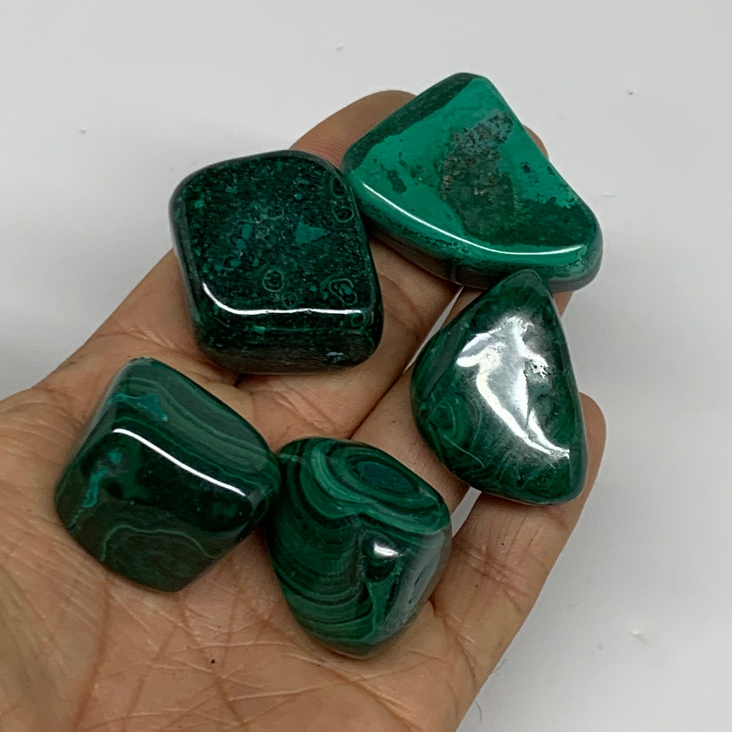 196.6g, 1.1"-1.6", 5pcs, Natural Malachite Tumbled Polished Gemstone, B32848