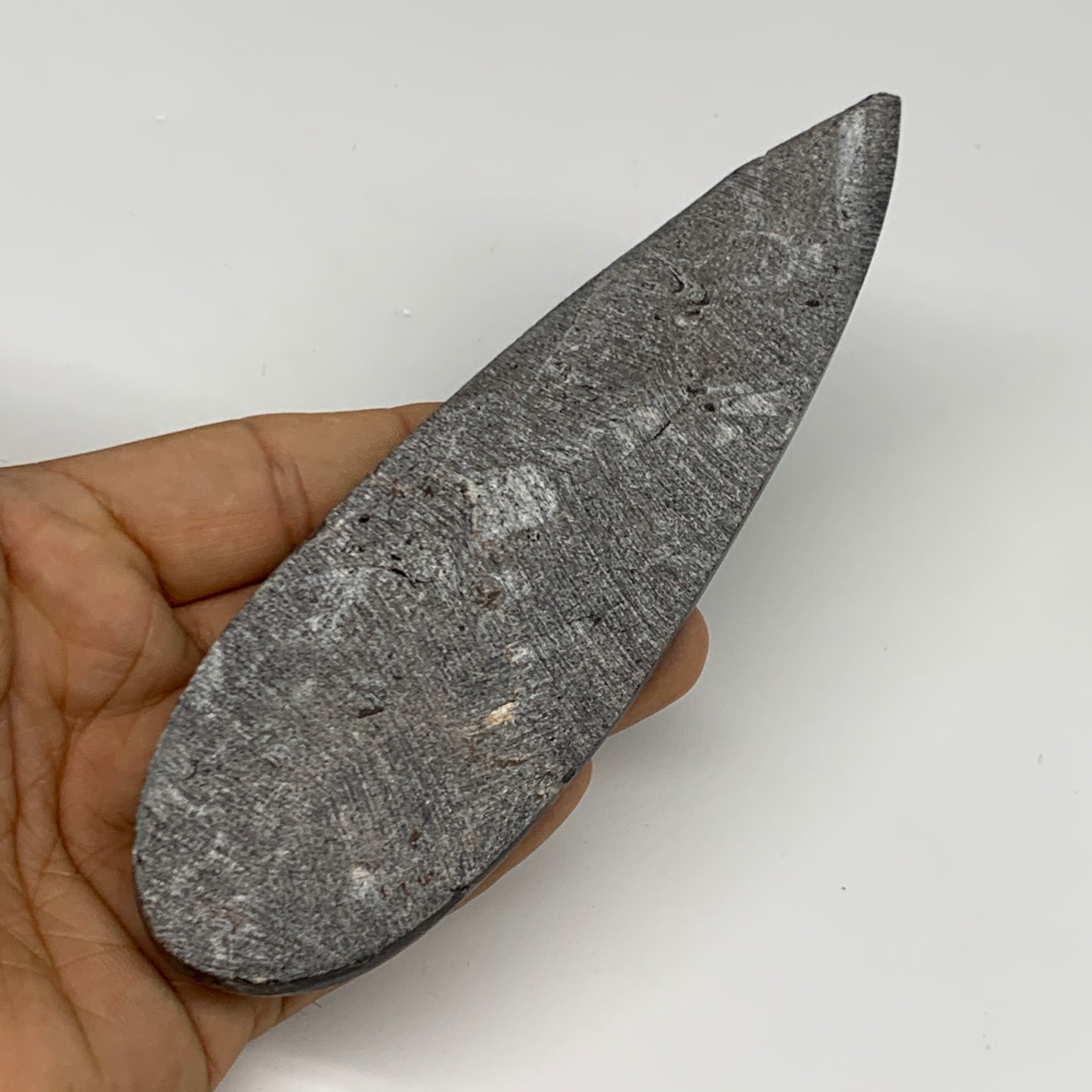 136.1g, 6"x1.7"x0.6" Fossils Orthoceras (straight horn) Squid @Morocco,B30031