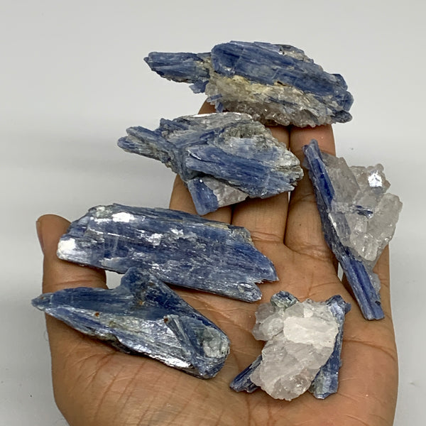 206.6g, 1.8"-2.8", 6pcs, Rough Raw Blue Kyanite Chunk Mineral @Brazil, B32850