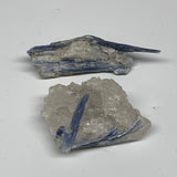 93.5g, 2.4"-3.2", 2pcs, Rough Raw Blue Kyanite Chunk Mineral @Brazil, B32851