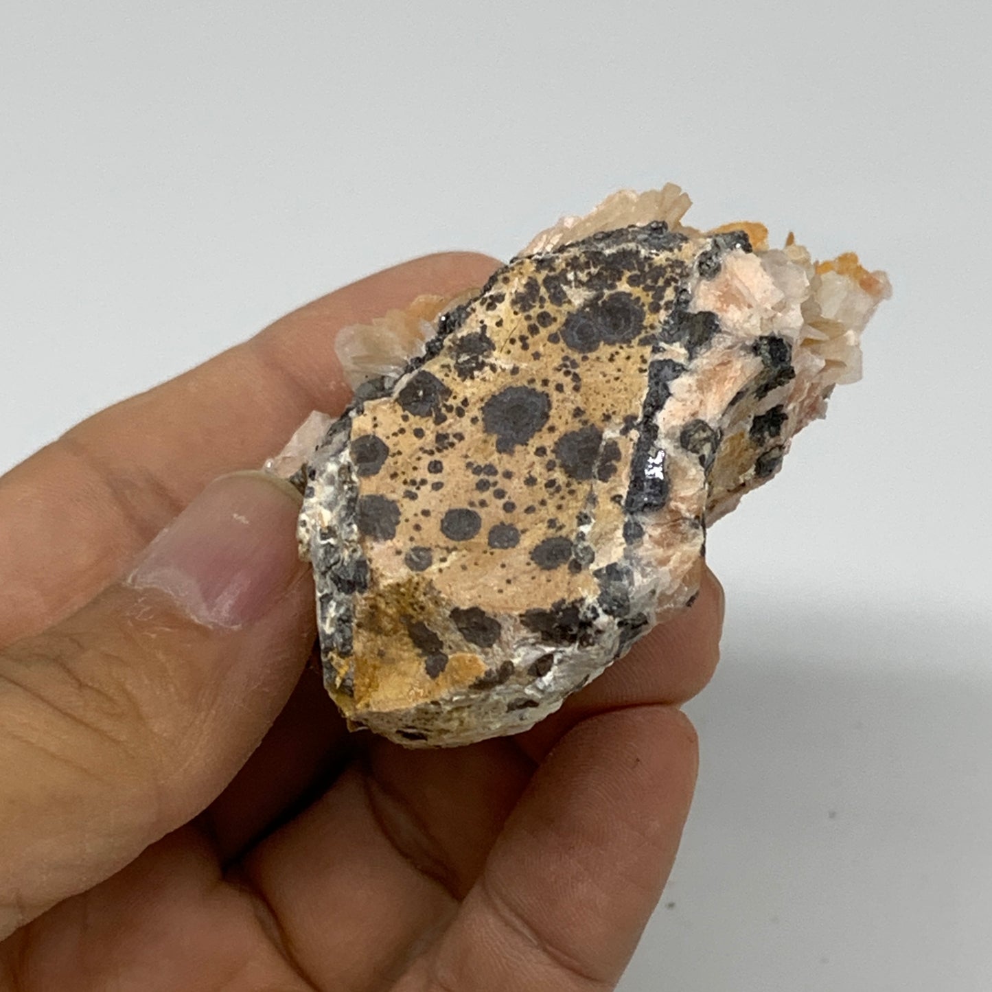 132.5g, 2.4"x2.3"x1.1", Barite with Cerussite on Galena Mineral Specimen, B33520