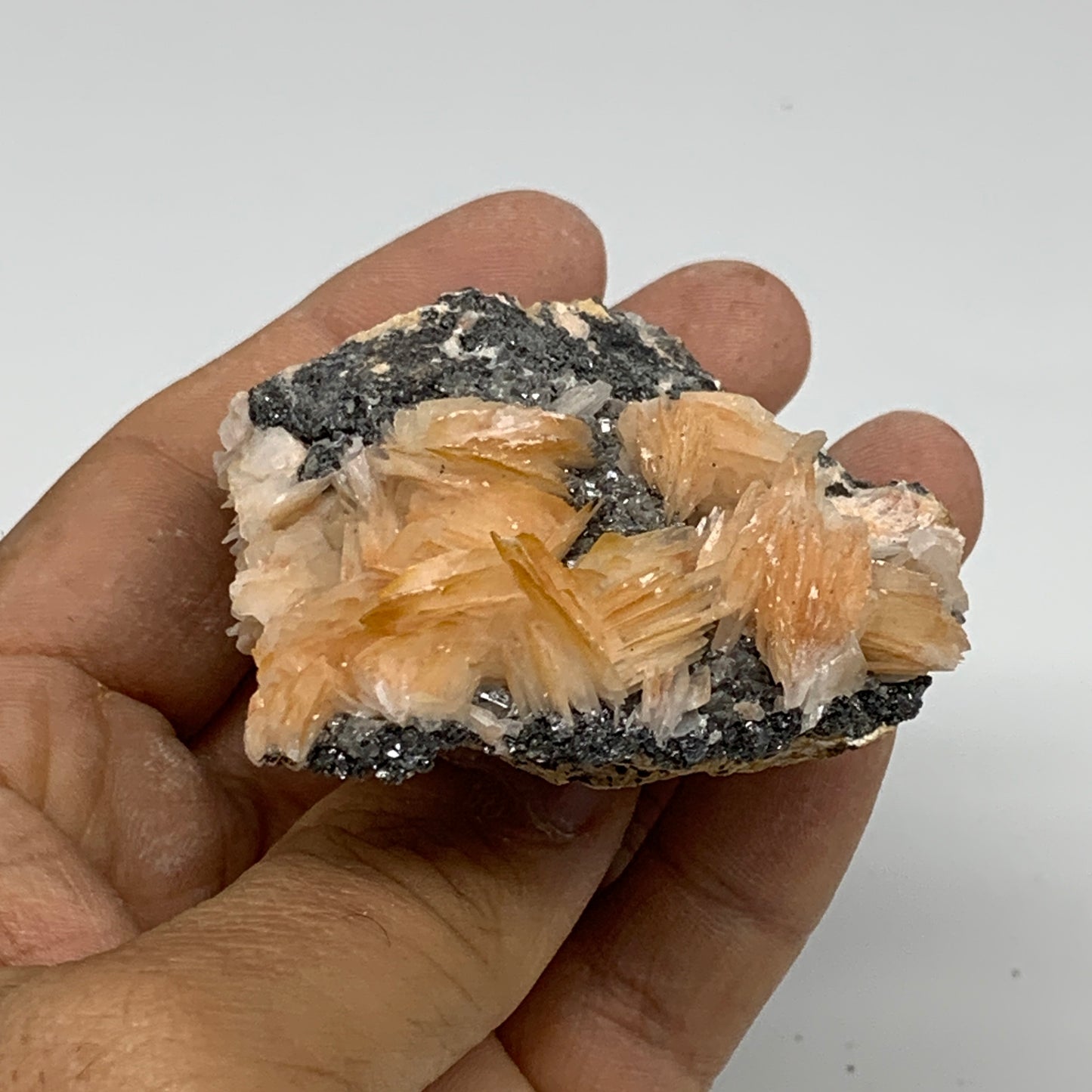 132.5g, 2.4"x2.3"x1.1", Barite with Cerussite on Galena Mineral Specimen, B33520
