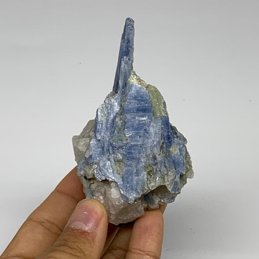 168.1g, 3.7"x2"x1.7", Rough Raw Blue Kyanite Chunk Mineral @Brazil, B32853