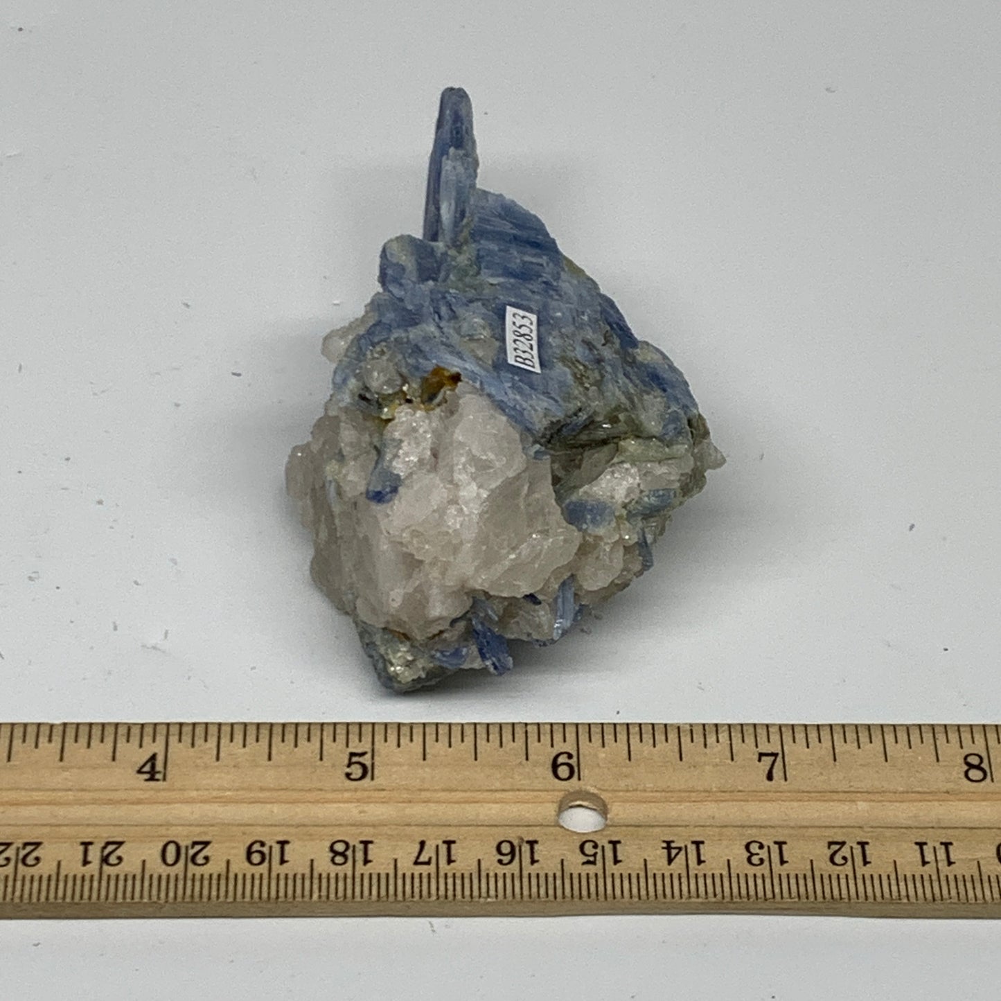 168.1g, 3.7"x2"x1.7", Rough Raw Blue Kyanite Chunk Mineral @Brazil, B32853