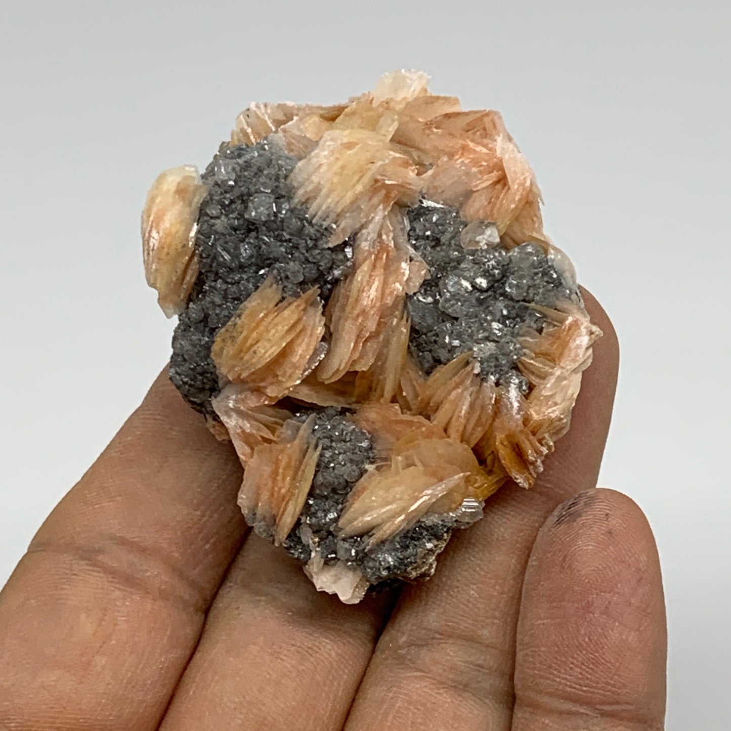 72.8g, 2.2"x1.6"x1", Barite with Cerussite on Galena Mineral Specimen, B33524