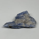 106.5g, 3.6"x2.1"x1", Rough Raw Blue Kyanite Chunk Mineral @Brazil, B32856
