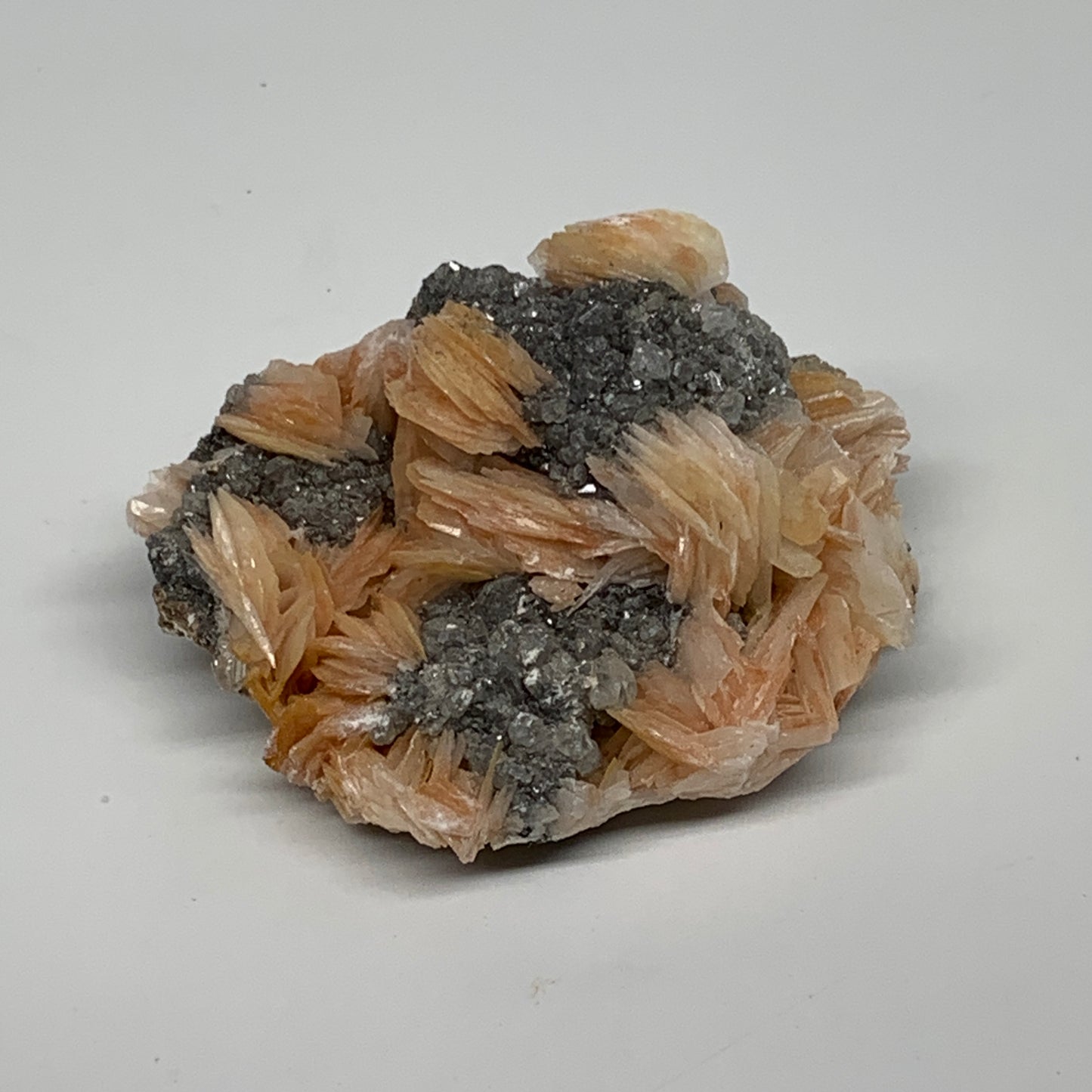72.8g, 2.2"x1.6"x1", Barite with Cerussite on Galena Mineral Specimen, B33524