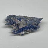 146.5g, 3.3"x2.2"x1.3", Rough Raw Blue Kyanite Chunk Mineral @Brazil, B32858