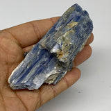 119.9g, 4"x1.6"x1.3", Rough Raw Blue Kyanite Chunk Mineral @Brazil, B32859