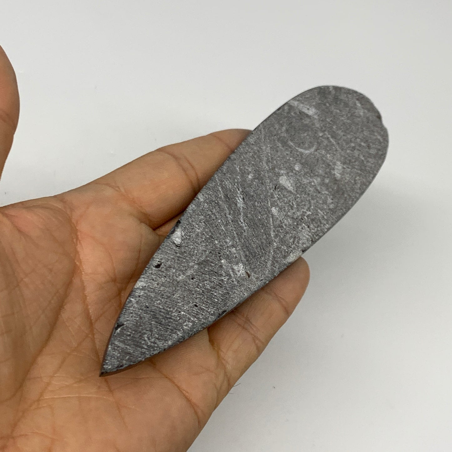 108.2g, 6.1"x1.6"x0.6" Fossils Orthoceras (straight horn) Squid @Morocco,B30046