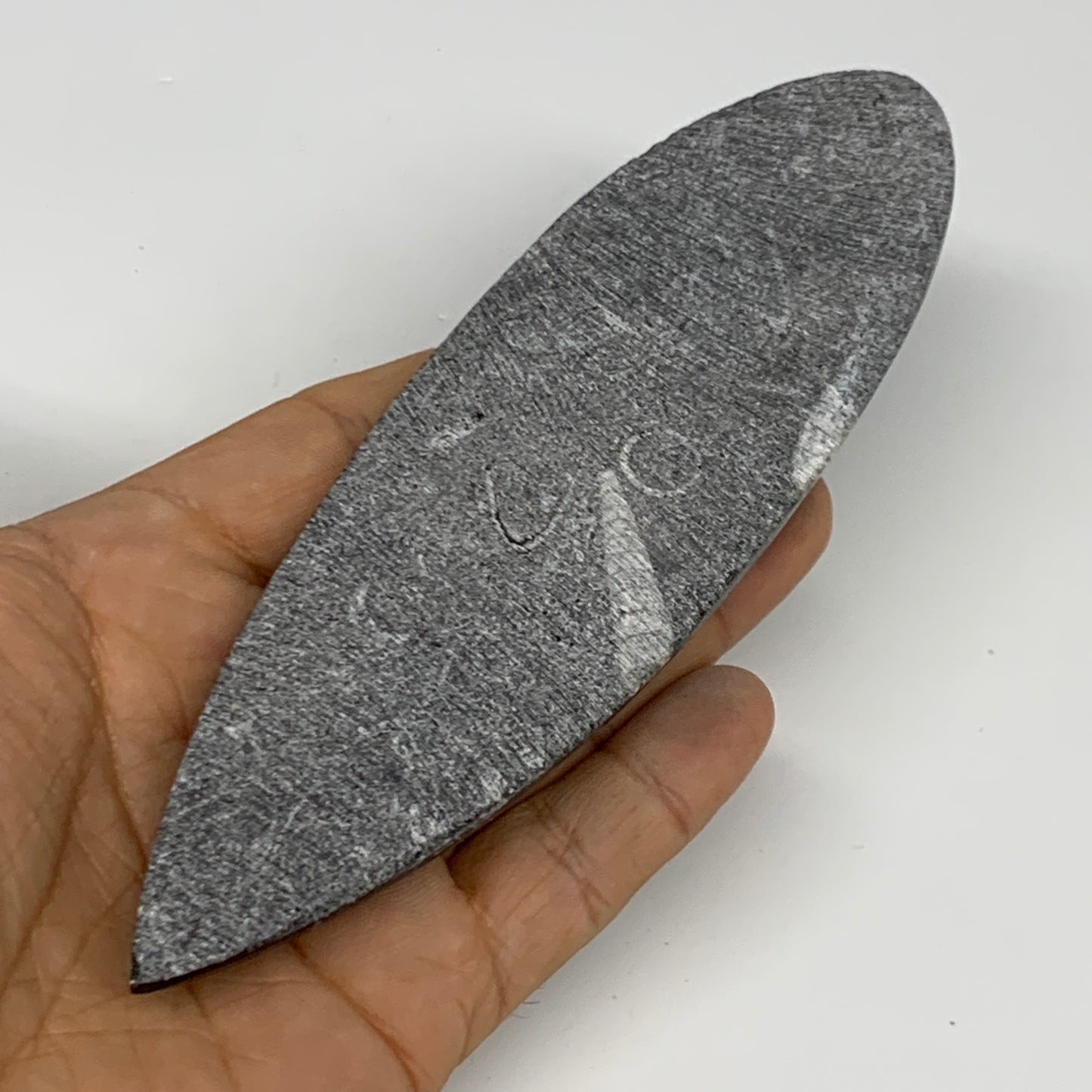 136.1g, 6"x1.8"x0.6" Fossils Orthoceras (straight horn) Squid @Morocco,B30048