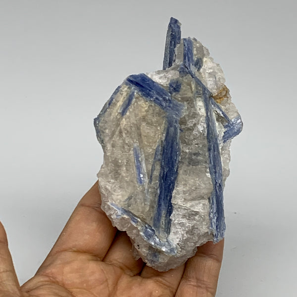 218.1g, 4.4"x2.5"x1.7",Blue Kyanite Quartz  Mineral Specimen @Brazil, B32865