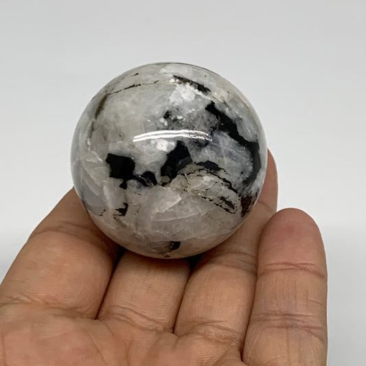 98.75g, 1.7"(42mm), Natural Rainbow Moonstone Sphere Ball Gemstone, B34965