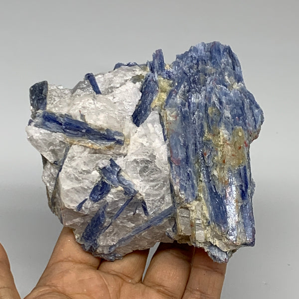 458.2g, 4.1"x4.1"x1.3",Blue Kyanite Quartz  Mineral Specimen @Brazil, B32873