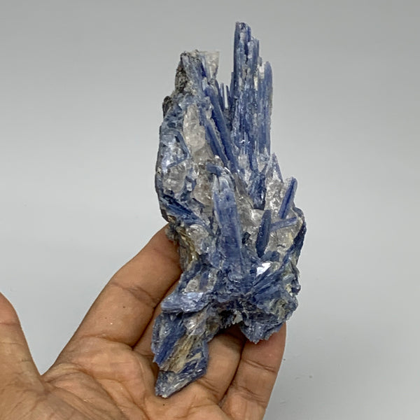 246.7g, 5.6"x2.2"x1.6",Blue Kyanite Quartz  Mineral Specimen @Brazil, B32874