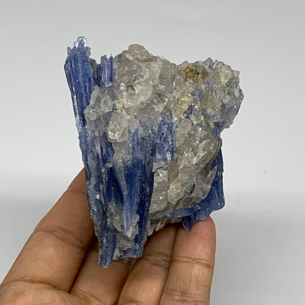 199.9g, 3"x2.5"x1.6",Blue Kyanite Quartz  Mineral Specimen @Brazil, B32875