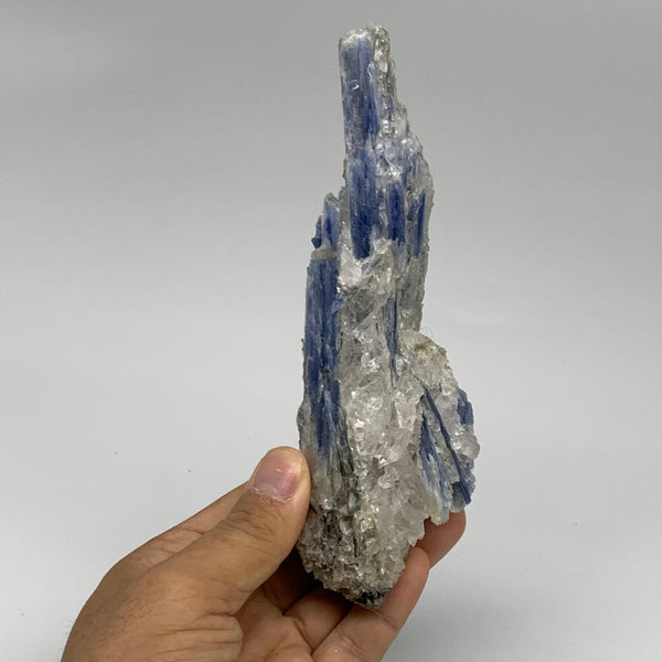 290g, 6.4"x1.8"x1.6",Blue Kyanite Quartz  Mineral Specimen @Brazil, B32878