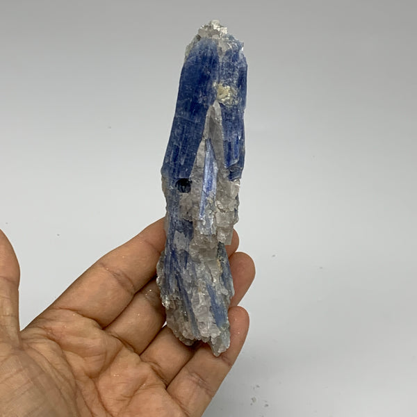 144.2g, 4.8"x1.4"x1.1",Blue Kyanite Quartz  Mineral Specimen @Brazil, B32880