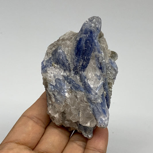 167.8g, 3.3"x1.9"x1.2",Blue Kyanite Quartz  Mineral Specimen @Brazil, B32882