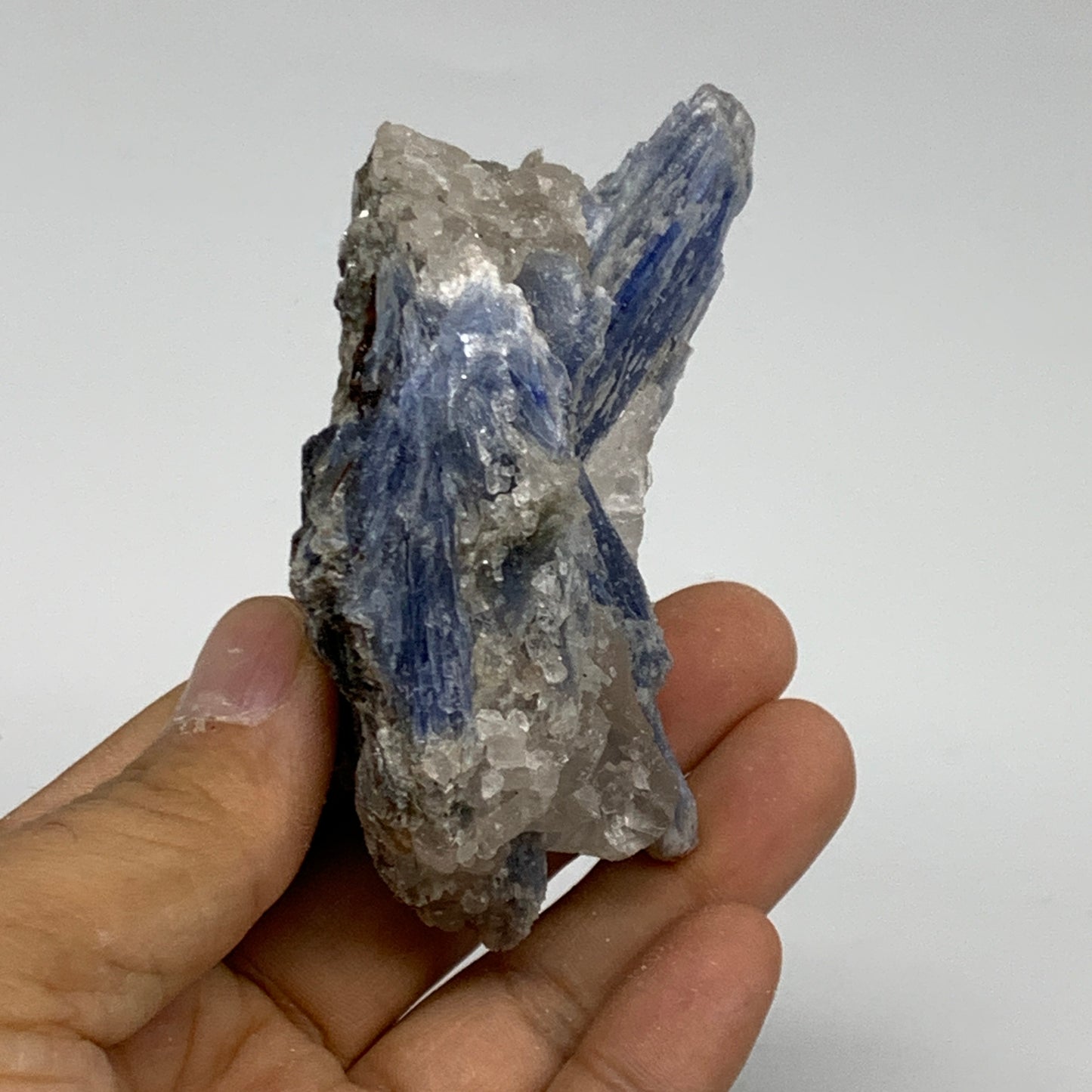 167.8g, 3.3"x1.9"x1.2",Blue Kyanite Quartz  Mineral Specimen @Brazil, B32882