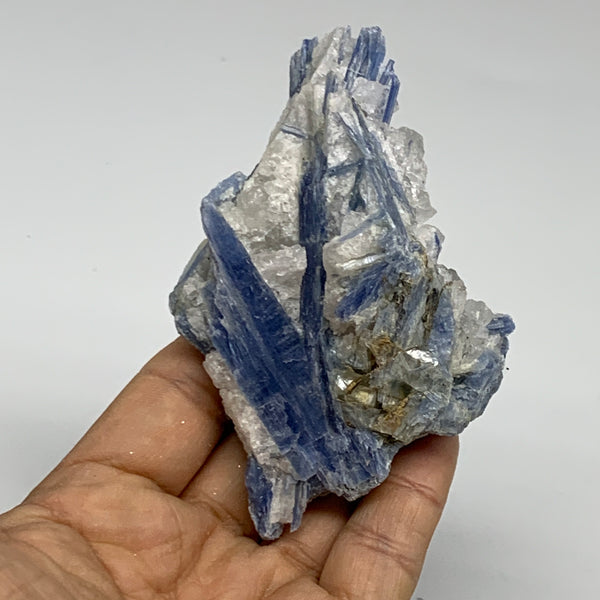 152.7g,3.9"x2.5"x1.2",Blue Kyanite Quartz  Mineral Specimen @Brazil, B32884