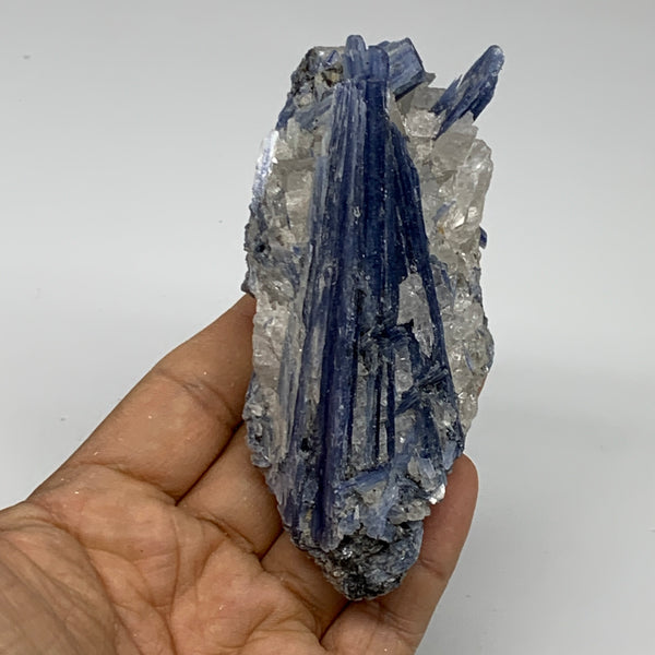 228.9g,4.4"x1.7"x12", Blue Kyanite Quartz  Mineral Specimen @Brazil, B32890