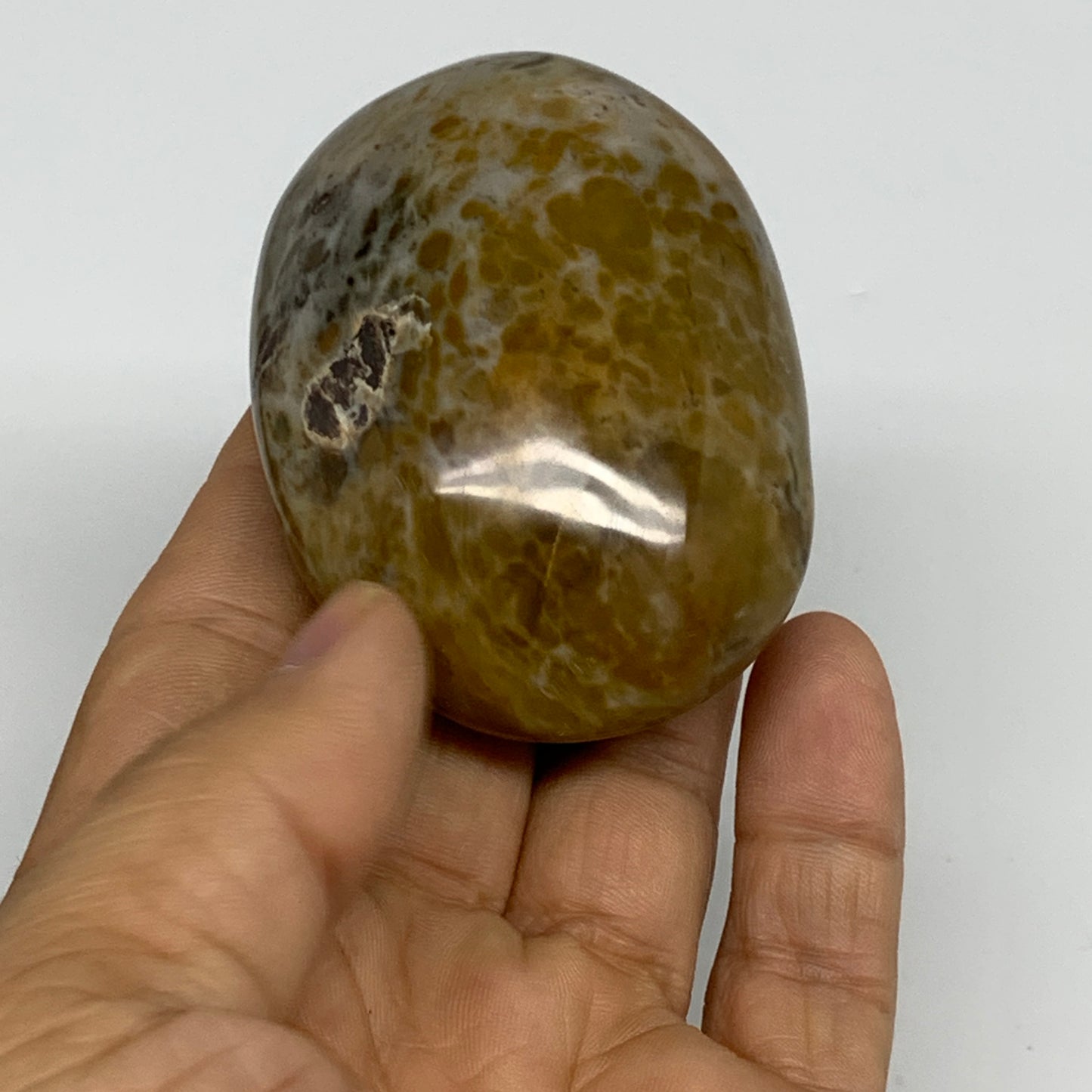 121.9g, 2.6"x1.9"x1" Natural Ocean Jasper Palm-Stone Orbicular Jasper, B30746