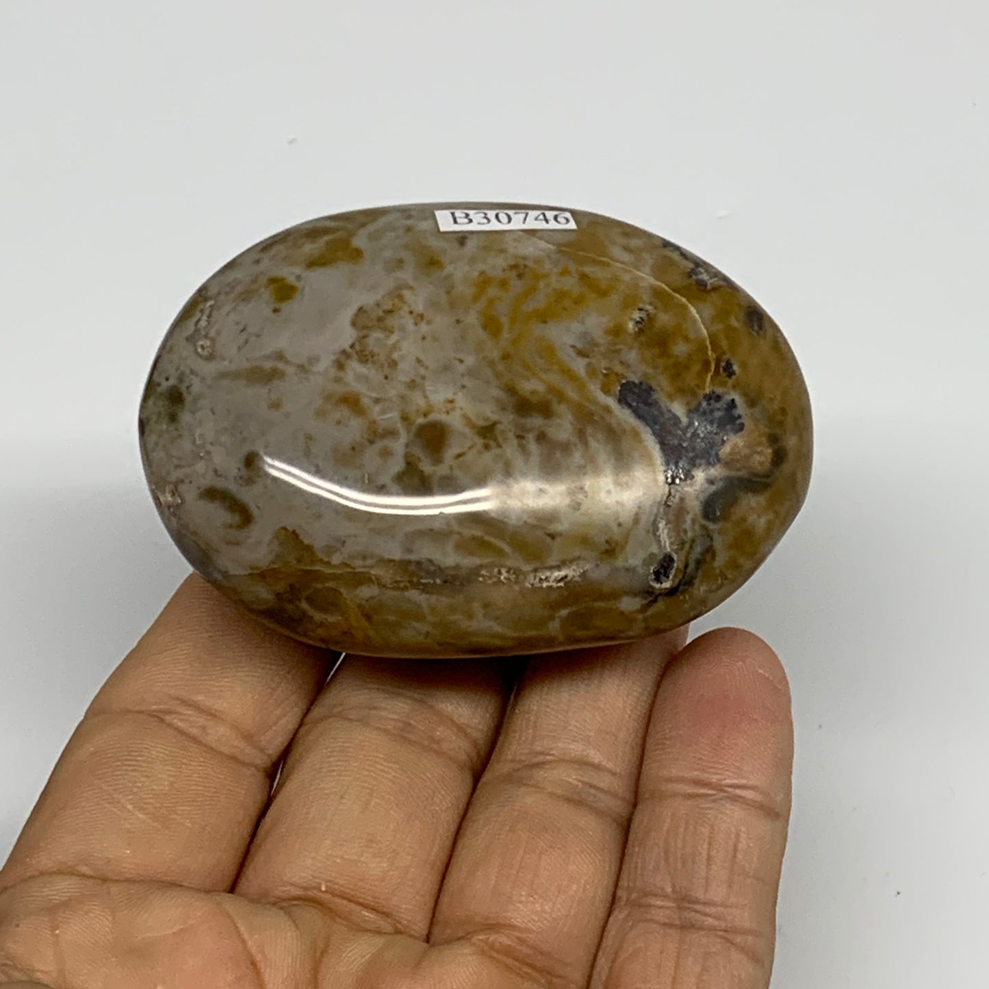 121.9g, 2.6"x1.9"x1" Natural Ocean Jasper Palm-Stone Orbicular Jasper, B30746