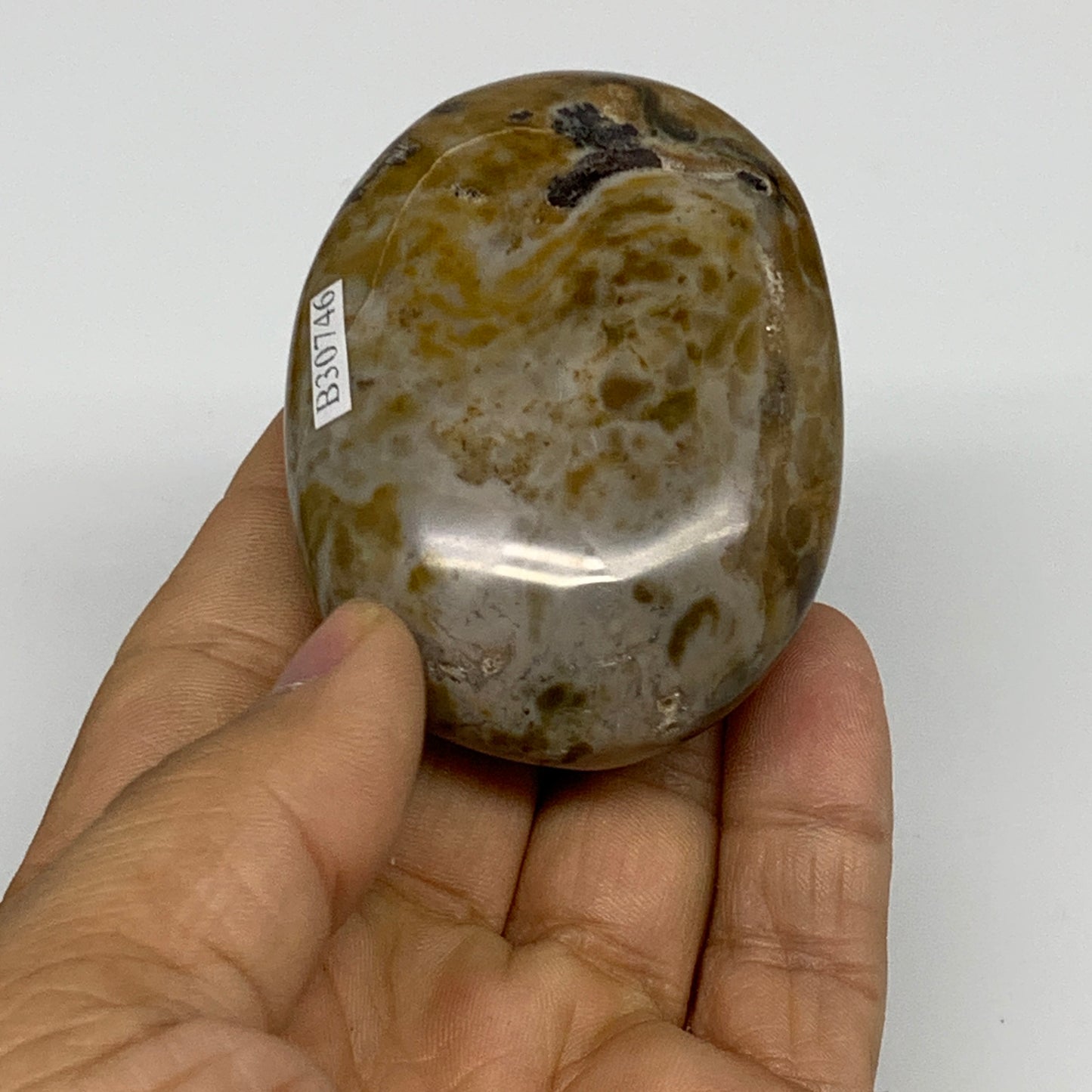 121.9g, 2.6"x1.9"x1" Natural Ocean Jasper Palm-Stone Orbicular Jasper, B30746