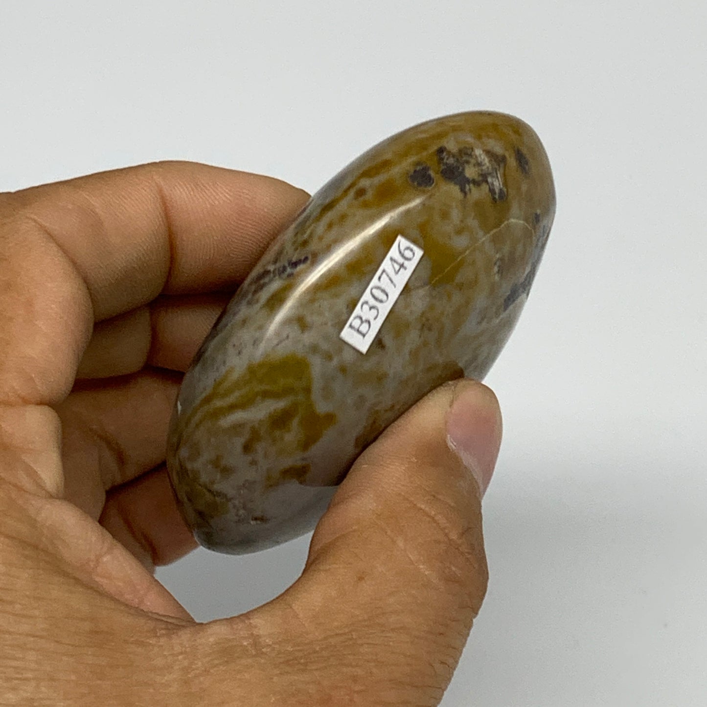 121.9g, 2.6"x1.9"x1" Natural Ocean Jasper Palm-Stone Orbicular Jasper, B30746