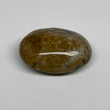 121.9g, 2.6"x1.9"x1" Natural Ocean Jasper Palm-Stone Orbicular Jasper, B30746