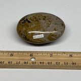 121.9g, 2.6"x1.9"x1" Natural Ocean Jasper Palm-Stone Orbicular Jasper, B30746