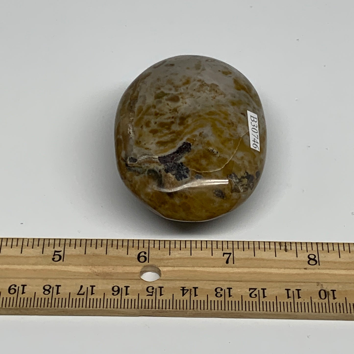 121.9g, 2.6"x1.9"x1" Natural Ocean Jasper Palm-Stone Orbicular Jasper, B30746