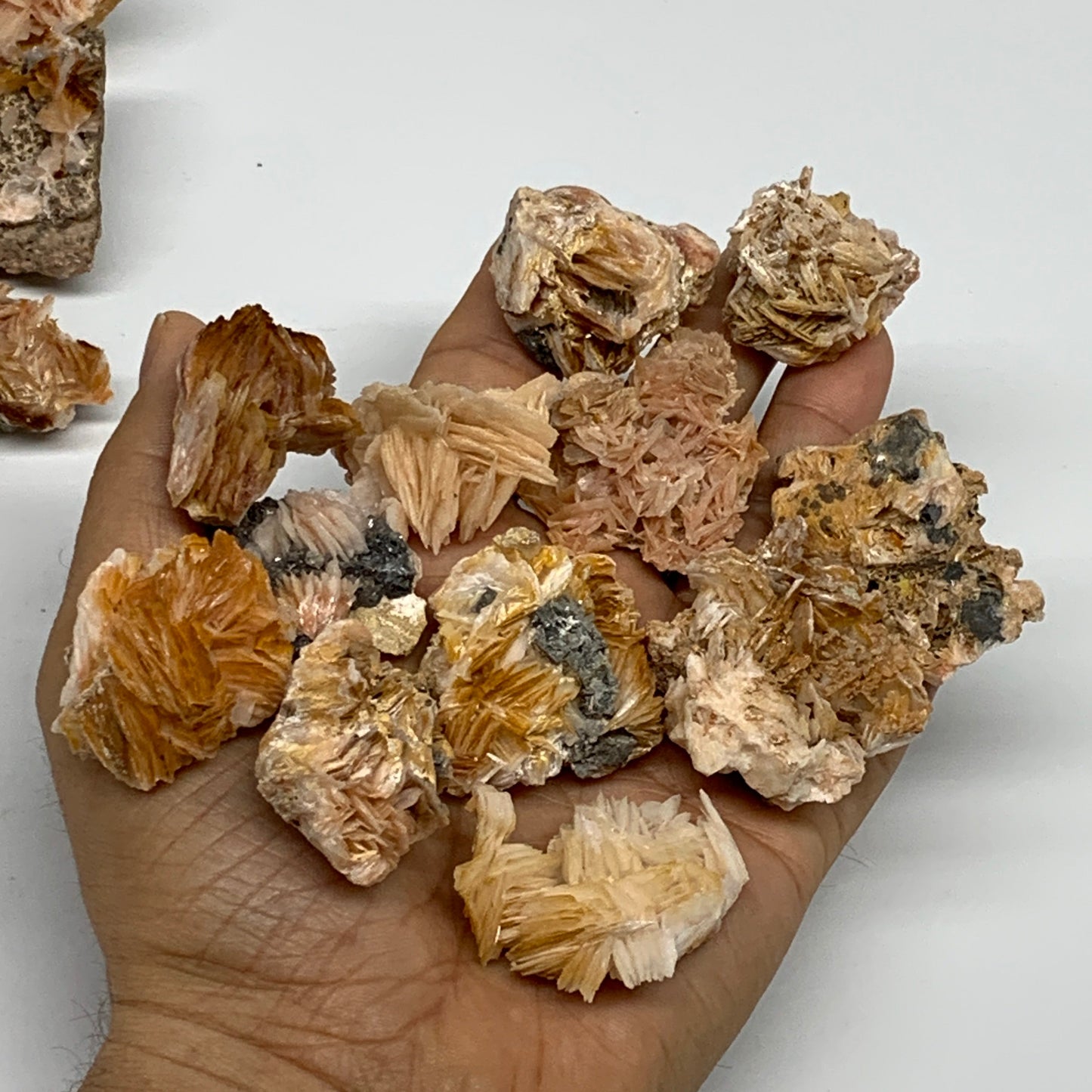 4.12 lbs, 1.1"-2.3", 56pcs Lot, Small Golden Barite Mineral Specimen, B33563