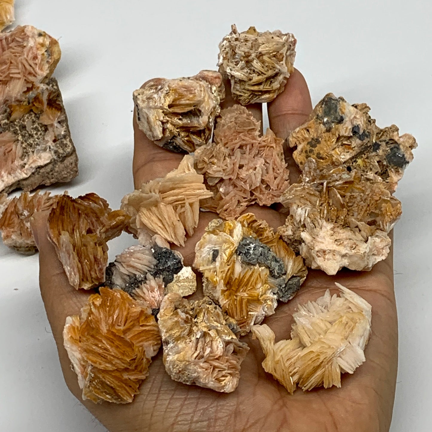 4.12 lbs, 1.1"-2.3", 56pcs Lot, Small Golden Barite Mineral Specimen, B33563