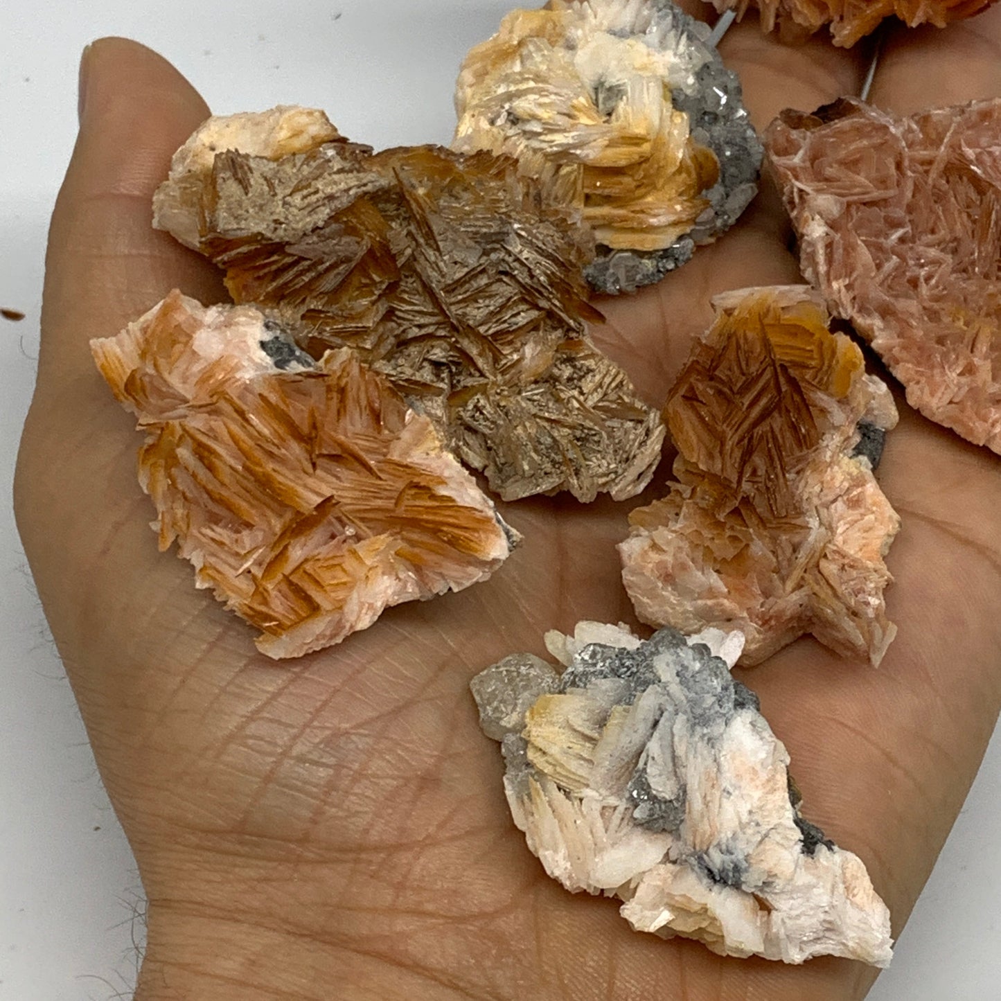 4.12 lbs, 1.1"-2.3", 56pcs Lot, Small Golden Barite Mineral Specimen, B33563