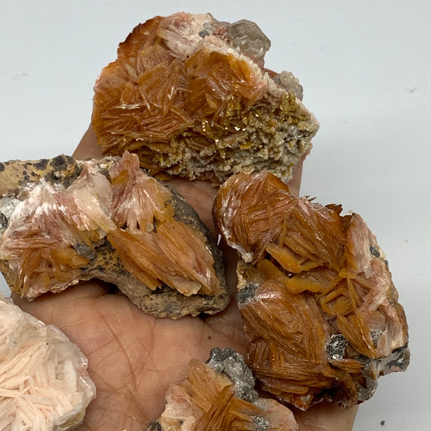 4.12 lbs, 1.1"-2.3", 56pcs Lot, Small Golden Barite Mineral Specimen, B33563