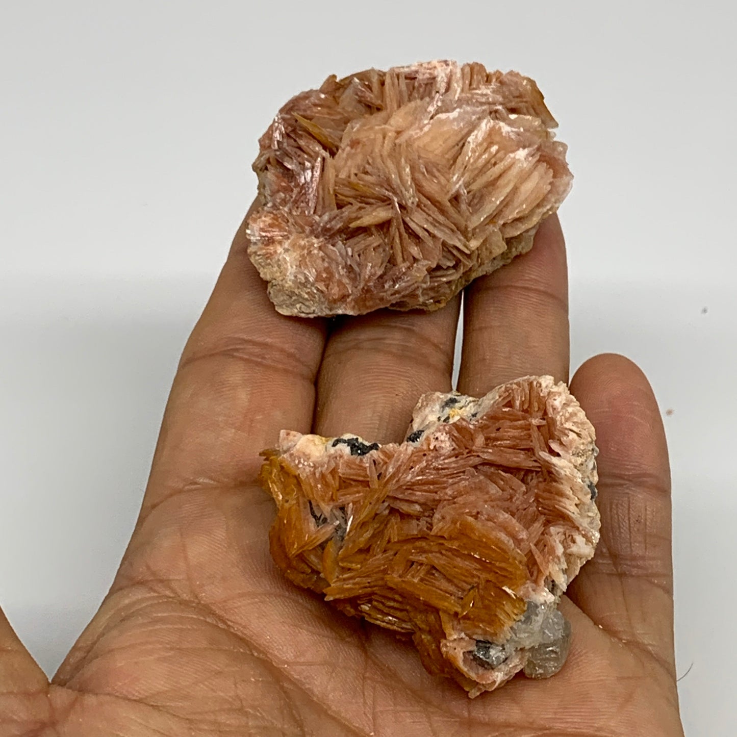 4.12 lbs, 1.1"-2.3", 56pcs Lot, Small Golden Barite Mineral Specimen, B33563