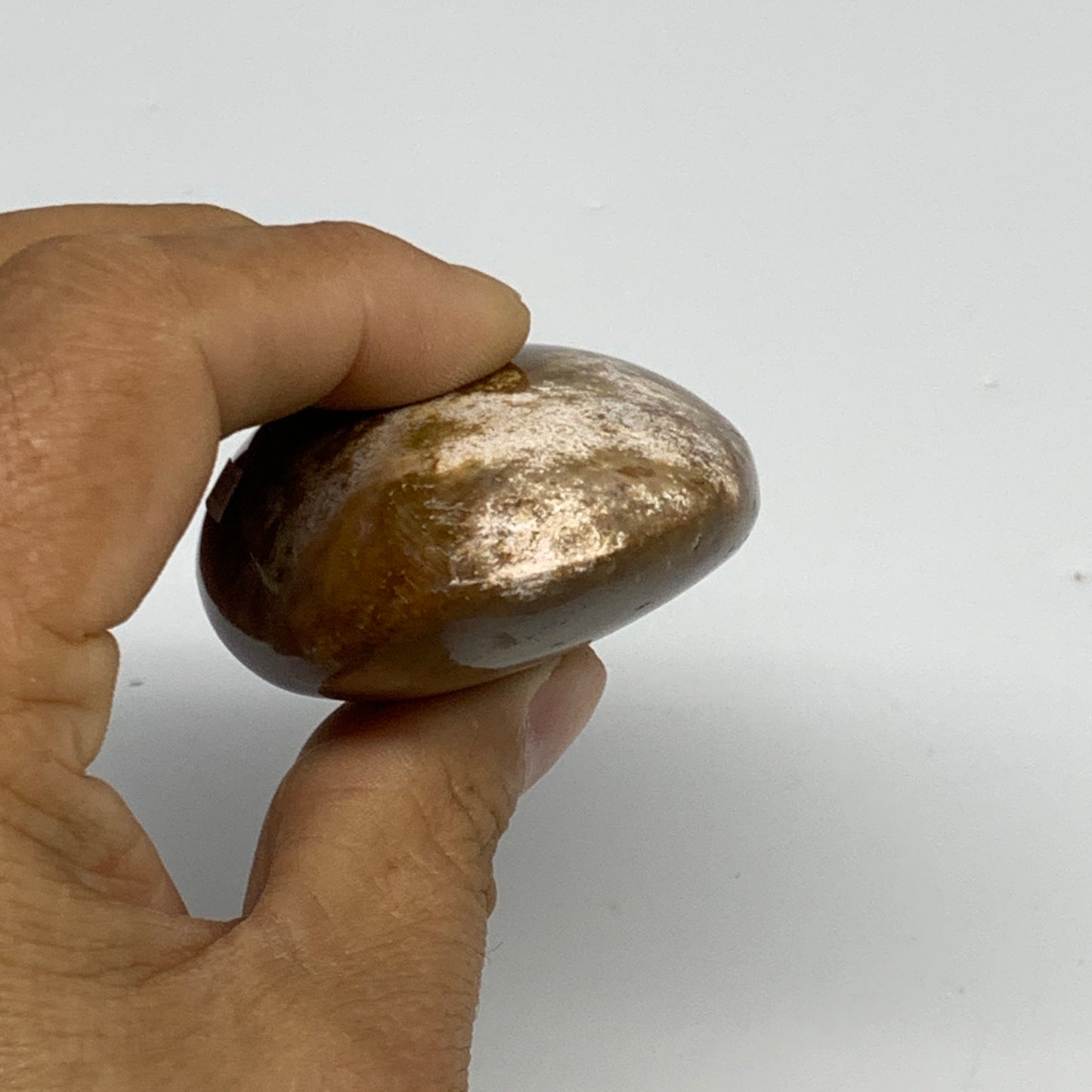 117.5g, 2.8"x1.8"x1" Natural Ocean Jasper Palm-Stone Orbicular Jasper, B30748