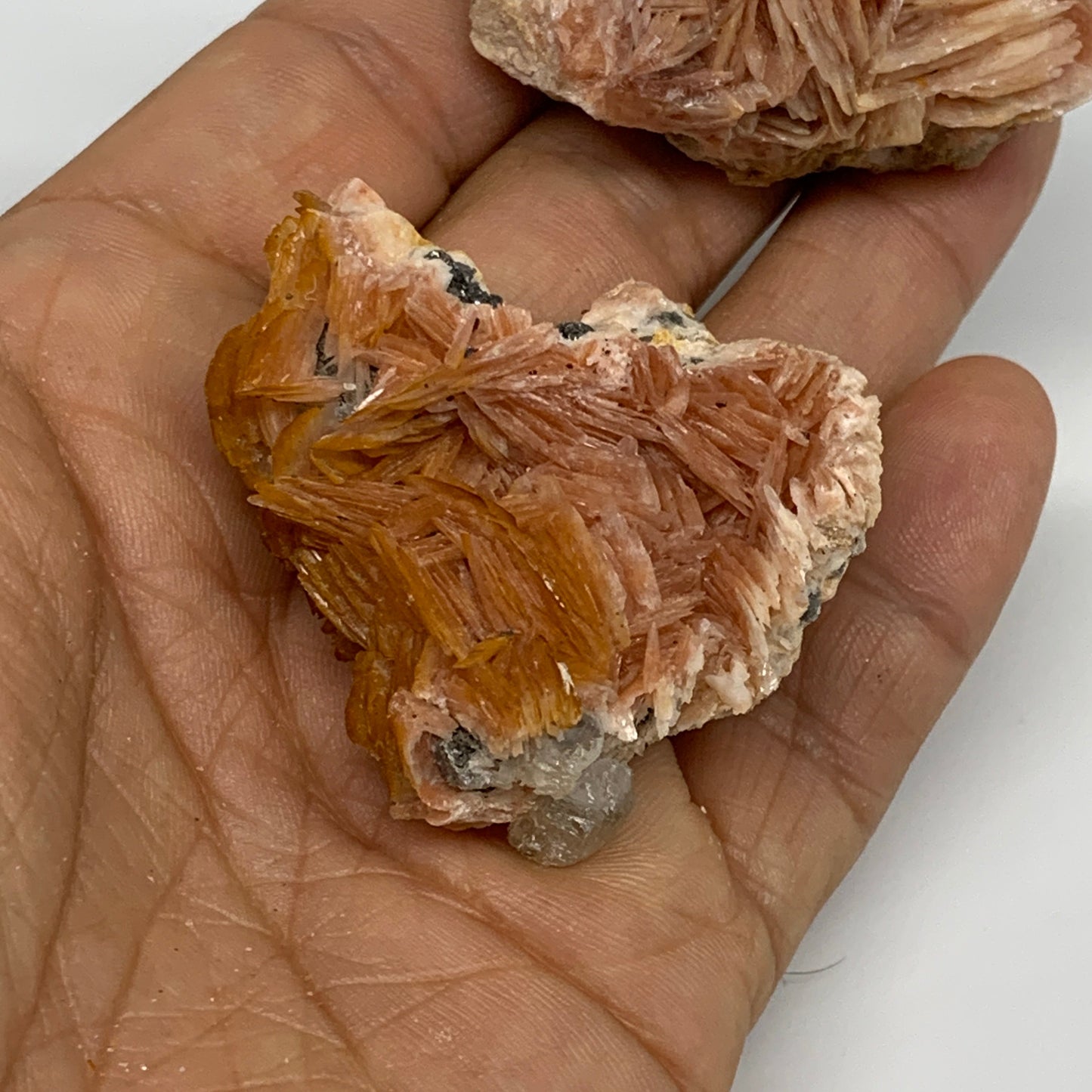 4.12 lbs, 1.1"-2.3", 56pcs Lot, Small Golden Barite Mineral Specimen, B33563